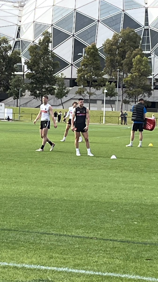 magpie_fever's tweet photo. Pies training @DuchessDanni #Bruzzi https://t.co/nGvz30bigA