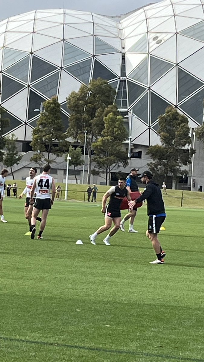 magpie_fever's tweet photo. Pies training @DuchessDanni #Bruzzi https://t.co/nGvz30bigA