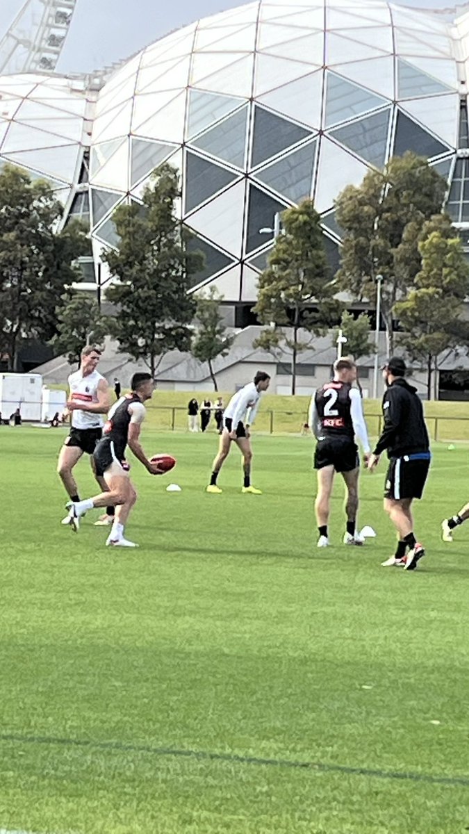 magpie_fever's tweet photo. Pies training @DuchessDanni #Bruzzi https://t.co/nGvz30bigA