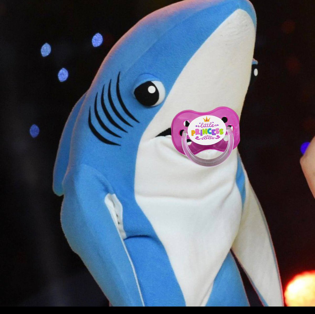 Shork tweet media