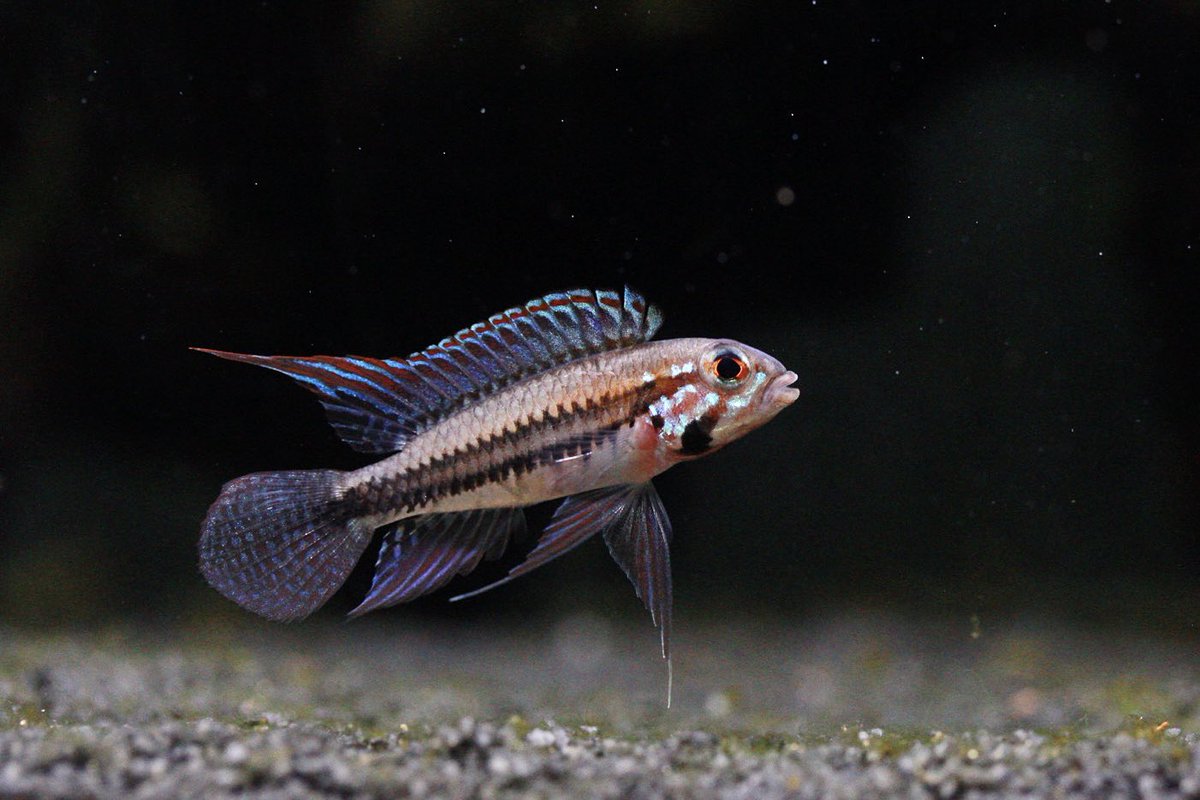 色が出てきた😍