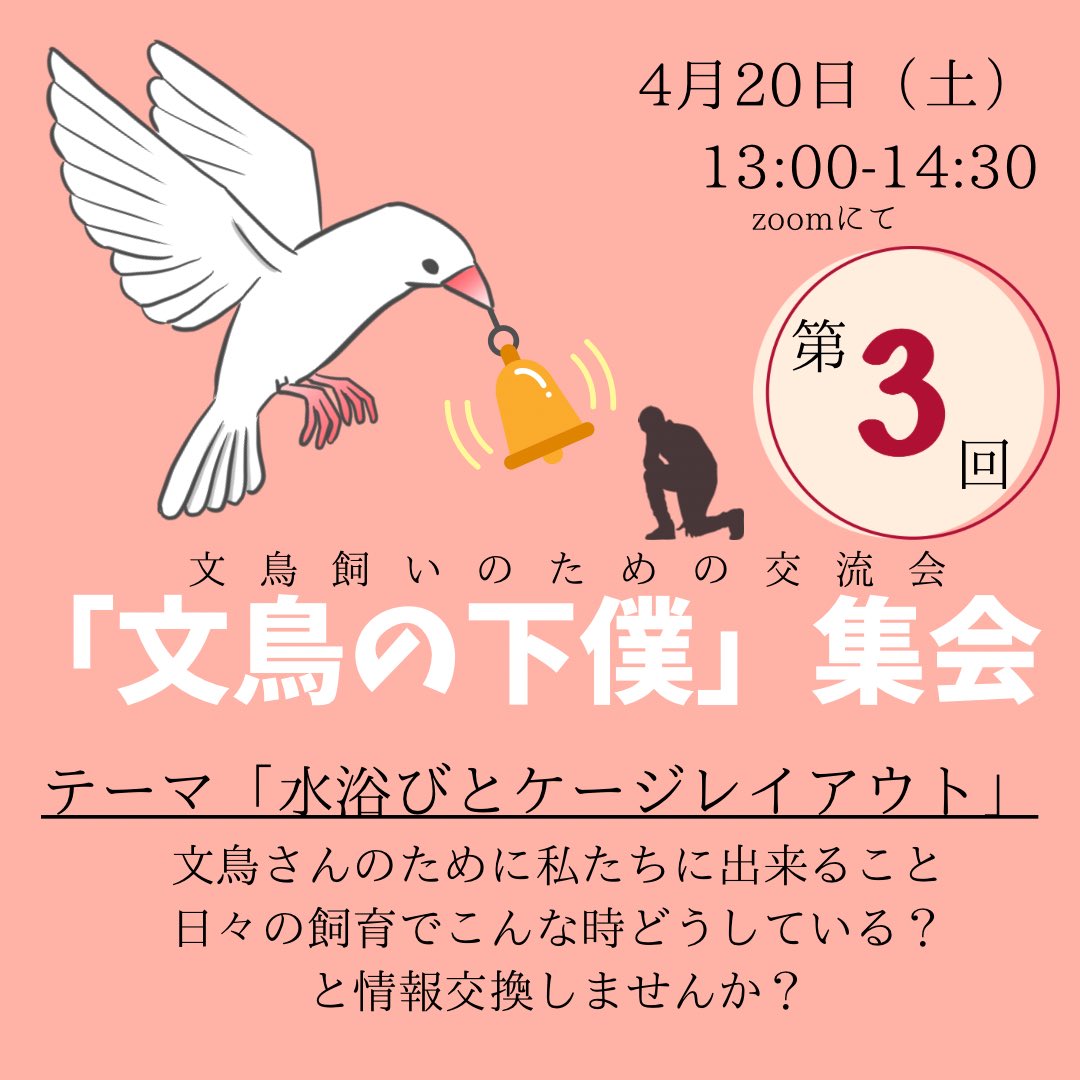 いよいよ来週開催です！ 申込済みの方には明日メールにてご連絡しますね✨まだ申し込んでいなかった！という方はぜひお早めに😊❤️ 暖かくなってきましたし、他のお家ではケージレイアウトや水浴びどうしてるかな？と意見交換しませんか☺️ #文鳥 kokc.jp/e/6319626b59e0…