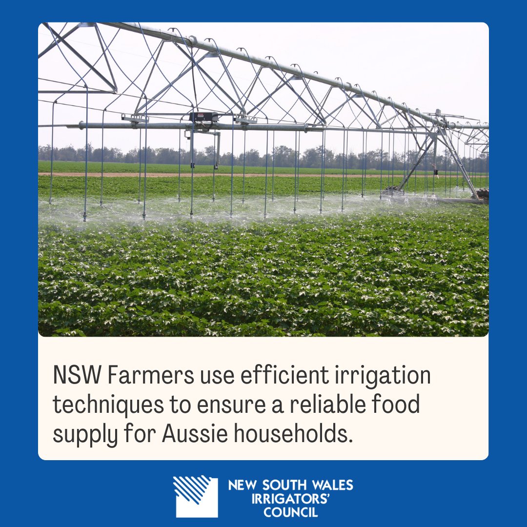 NSW agriculture is a vital player in global food security. Efficient irrigation practices boost crop yields, creating a reliable and abundant food supply chain here and abroad.