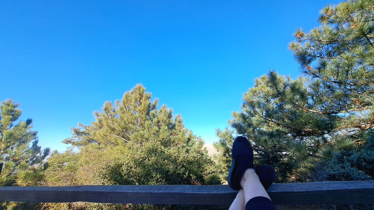 Sometimes you just need to stare at a few pine trees for a couple hours... or so. 
#RVLife