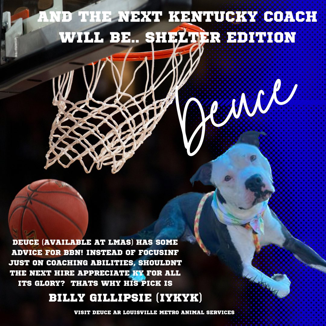We’ve all heard from @KySportsRadio and @DrewFranklinKSR on their take concerning #BBN but now it’s time for lmas adoptable dogs to chime in on their predictions for #kentucky basketball coach.. first up is Deuce! FYI he considered himself the #johnwall of dogs