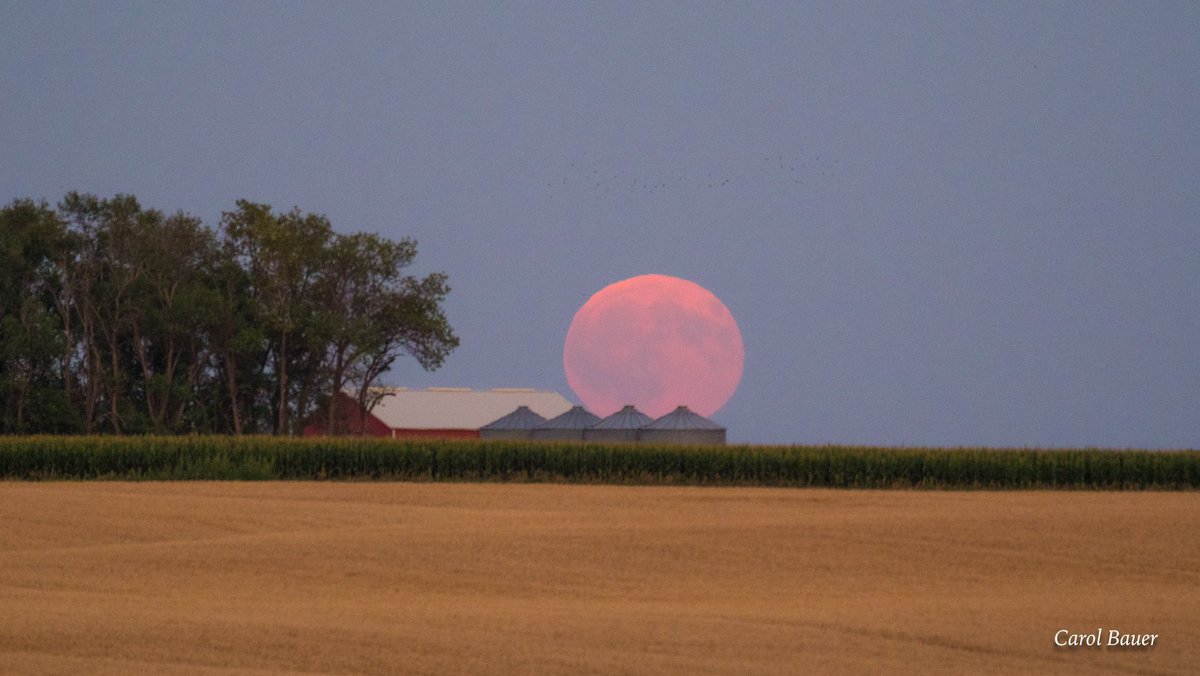 PASS IT ON: The next full Moon arrives on April 23rd! During the month of April, this Moon is known as the Full Pink Moon. Photo courtesy of @carolbauer320 #Moon #Space