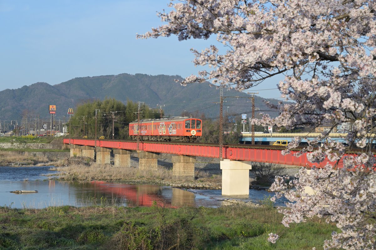 近江鉄道愛知川鉄橋と桜②