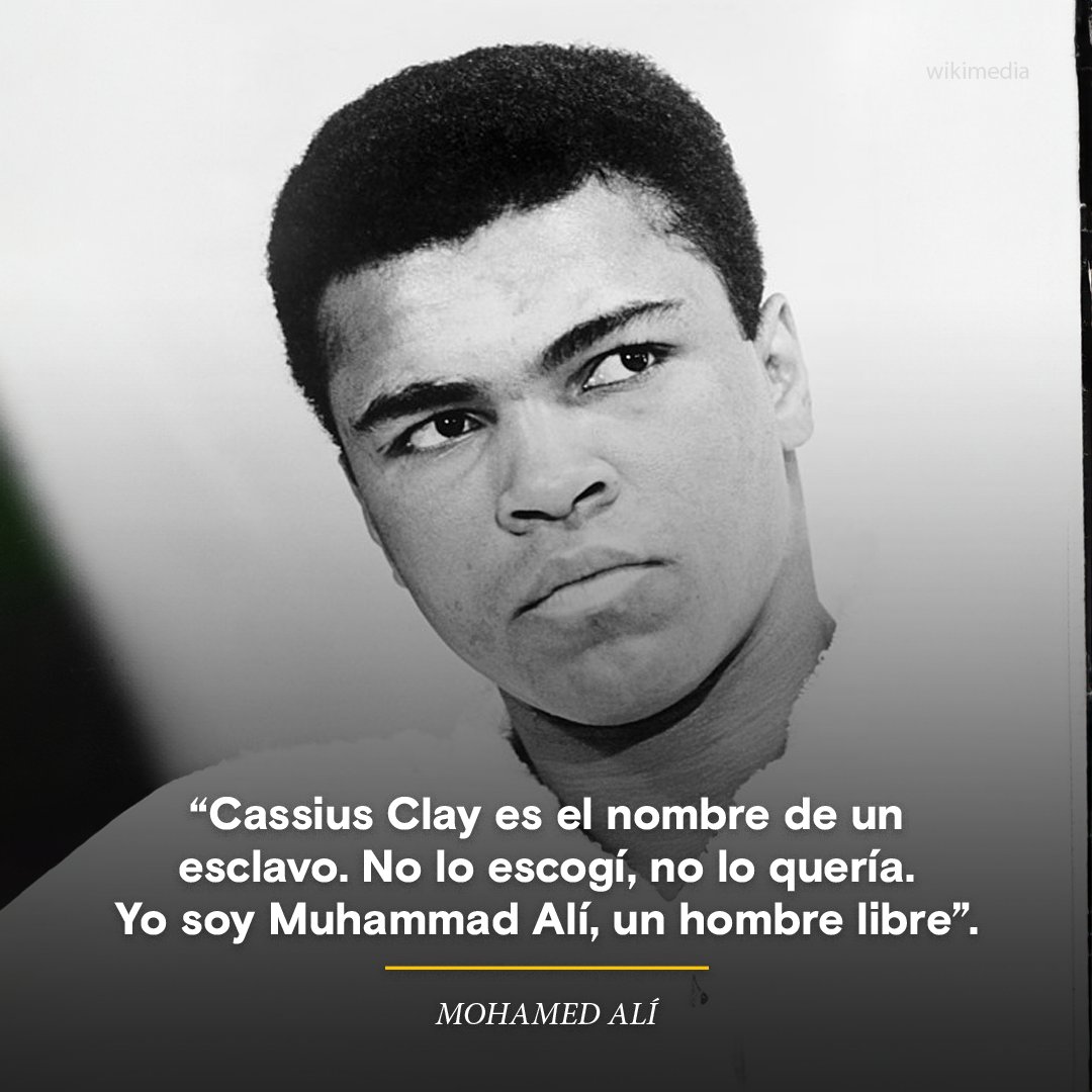 #HoyEnLaHistoria Hace 55 años, tras ser reclutado por el ejército, el célebre boxeador estadounidense Muhammad Alí se negaba a combatir en la guerra de Vietnam. 

historylatam.com/hoy-en-la-hist…