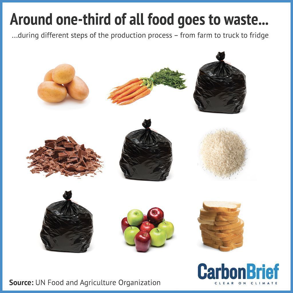 CarbonBrief's tweet image. In-depth Q&amp;amp;A: What food waste means for climate change | @orladwyer_ w/ comment from @sartorialfoodie @cjbradshaw_law Sally Qiu and Dr Dawn King #CBarchive

Read here ➡️ buff.ly/3vC5CJS