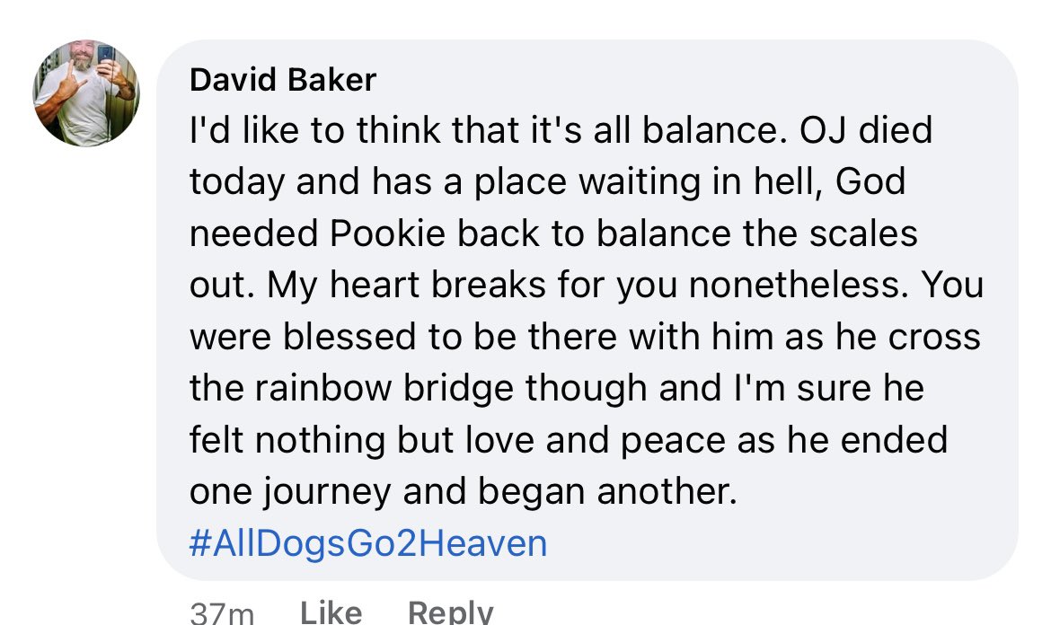 Nirvelligras's tweet photo. Also just redownloaded so i can show yall this wild comment on a post of someone’s dog passing away . that will be all https://t.co/QTbgpfKHSx