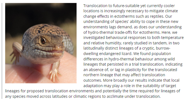 First paper from the trial pygmy bluetongue translocation showing that the lizards are behaving as they would as if they were in their source locations. And first paper from PhD student Dee Trewartha #PBT doi.org/10.1111/acv.12… @ClaytonJessa @Dr_StephGodfrey