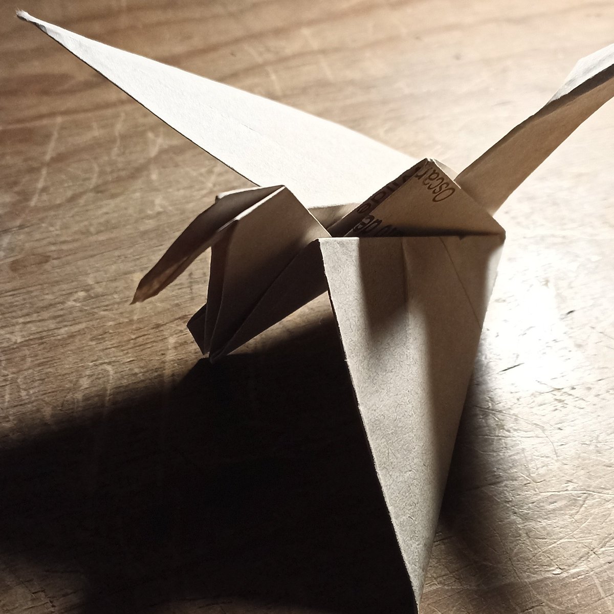 Cuervo de Papel tweet media