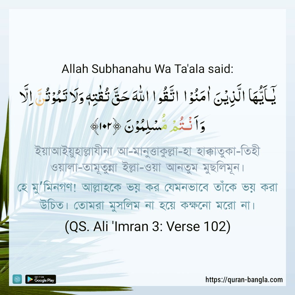 Anikul Islam tweet media