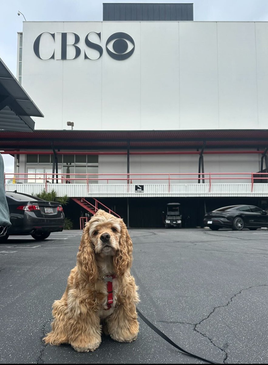 Paramount Careers tweet media