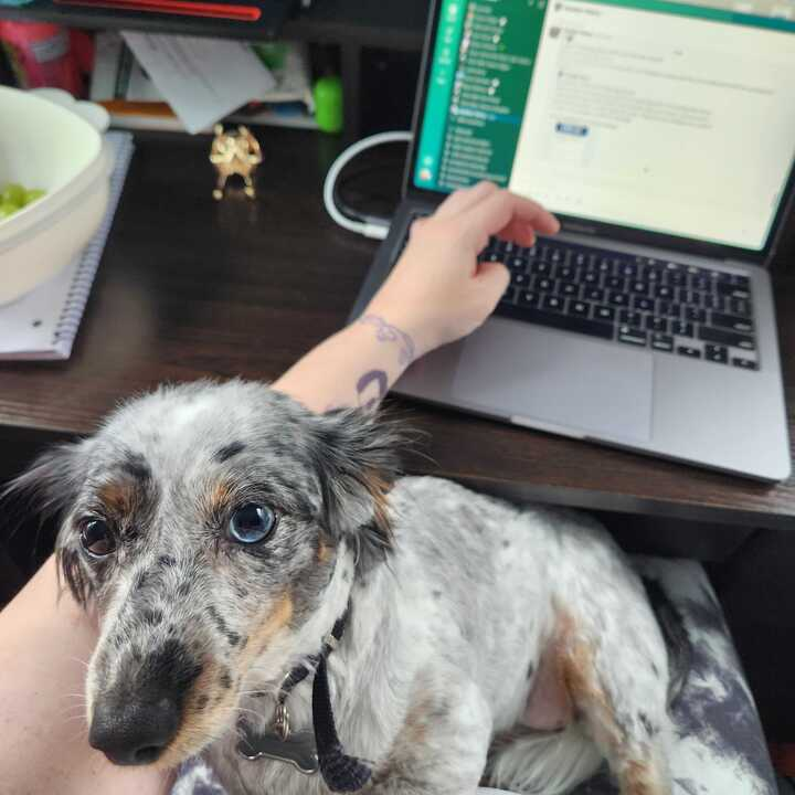 Paramount Careers tweet media