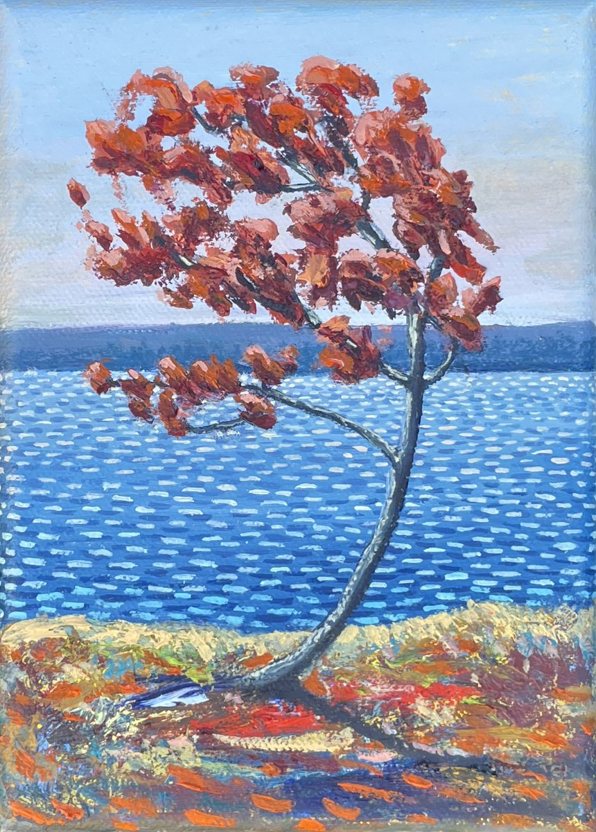 Autumn Wind 2024 Oil on canvas 7 x 5 inches New painting for the #AGHartsale April 18-21 aghartsales.com #art #artlovers #oilpainting #painting #artsale @Anishinabe_Life @kimahesse @Muskoka411 @JoanieGentian @peac4love @NCC_CNC