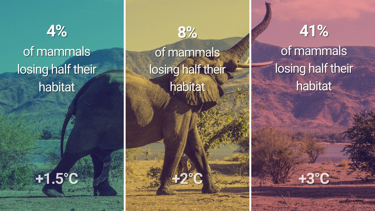 The difference between 1.5°C & three global warming means vastly different scenarios for our future. The survival of animals, the frequency of disasters, the spread of diseases & more hinge on these few degrees. We need #ClimateAction now. un.org/actnow via @UNFCCC