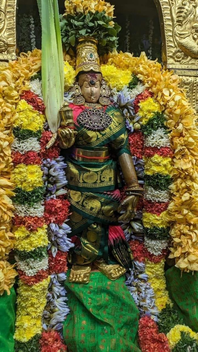 The festival of festivals, Chithirai Thiruvizha, commences in Madurai today. Coronation of Queen Meenakshi will happen on 19th April, Dik Vijayam on 20th and Thirukalyanam on 21st. Azhagar will come to Vaigai river on 23rd April