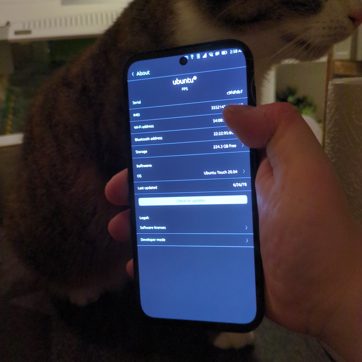 Marius Gripsgard tweet media