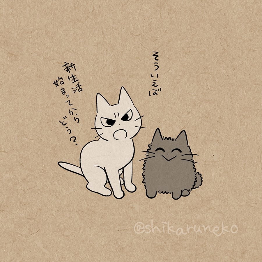 新生活に馴染めない人と、しかるねこと、あまやかすねこ 