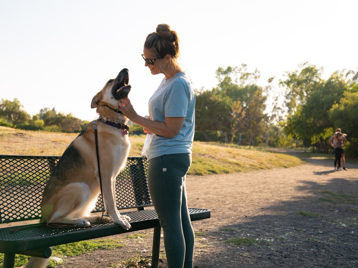 Be sure to give some extra love to your certified good bois and gals on #NationalPetDay 🐕 🐈 🐇 🏇 🐍 🐠 Share your pet's with us in the comments! 👇🐾