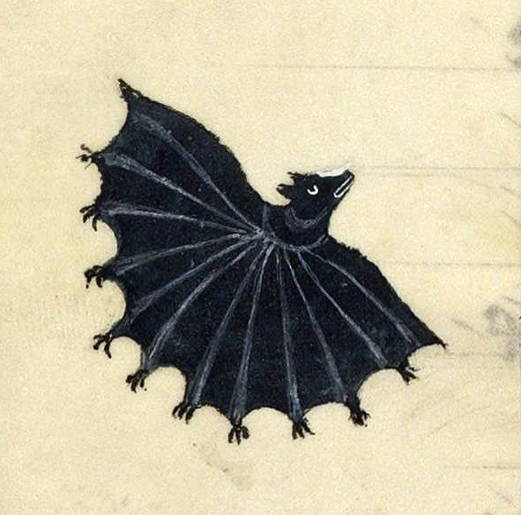 French medieval bat, 14c.
