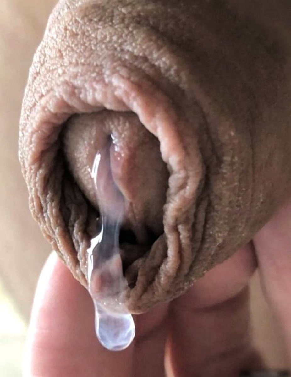 allforeskin's tweet photo. The oyster is your world. 
https://t.co/xjrRNqLiC2