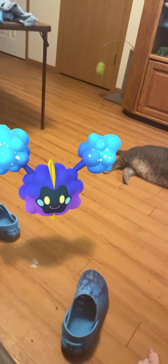 kimwolf124's tweet photo. Join the fun of Pokémon GO! https://t.co/DiIszOswLa https://t.co/n8CA4poNX5