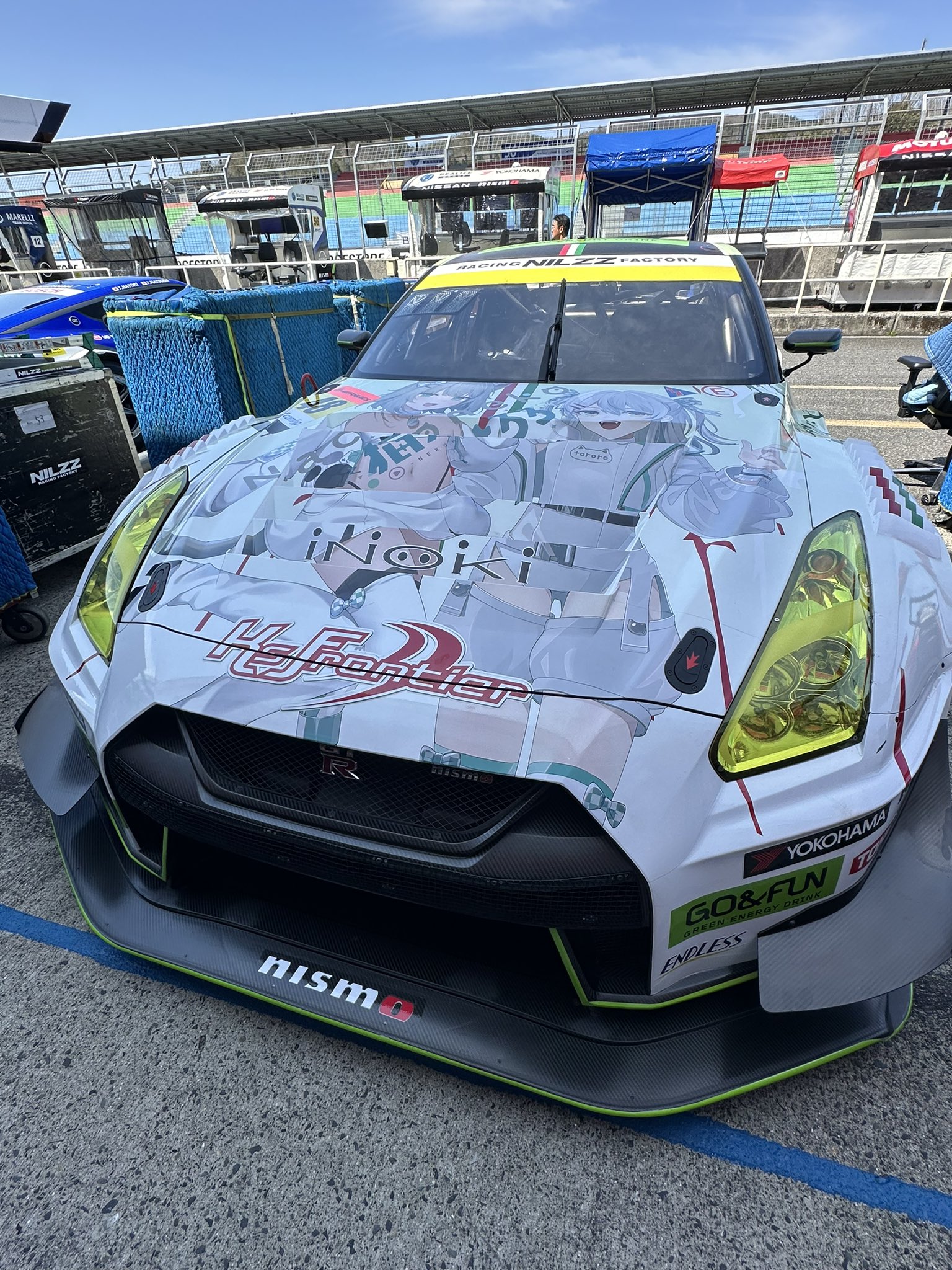B2【未開封品】EBBRO 植毛 GO&FUN GT-R No.48 2019