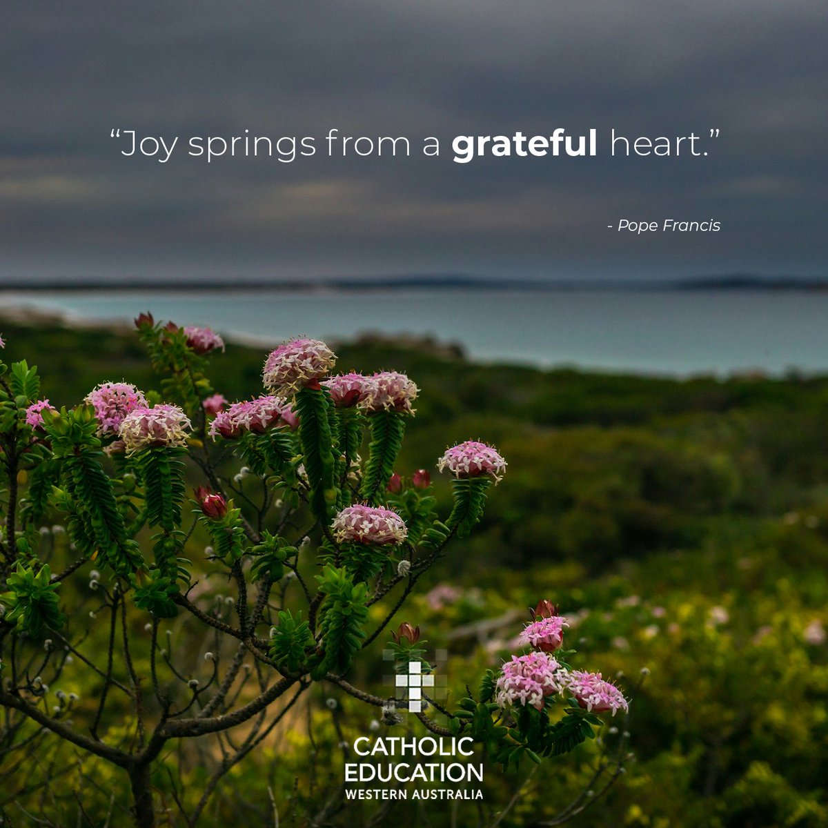 Catholic Education WA (@catholicedwa) on Twitter photo  Catholic Education WA (@catholicedwa) on Twitter photo