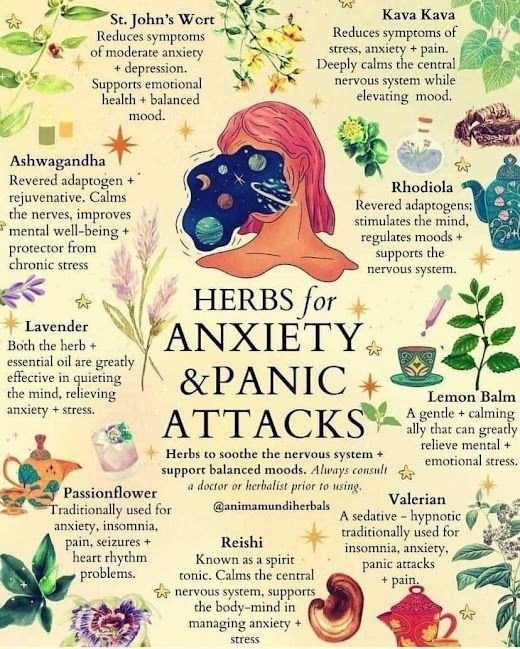 Herbs for Anxiety