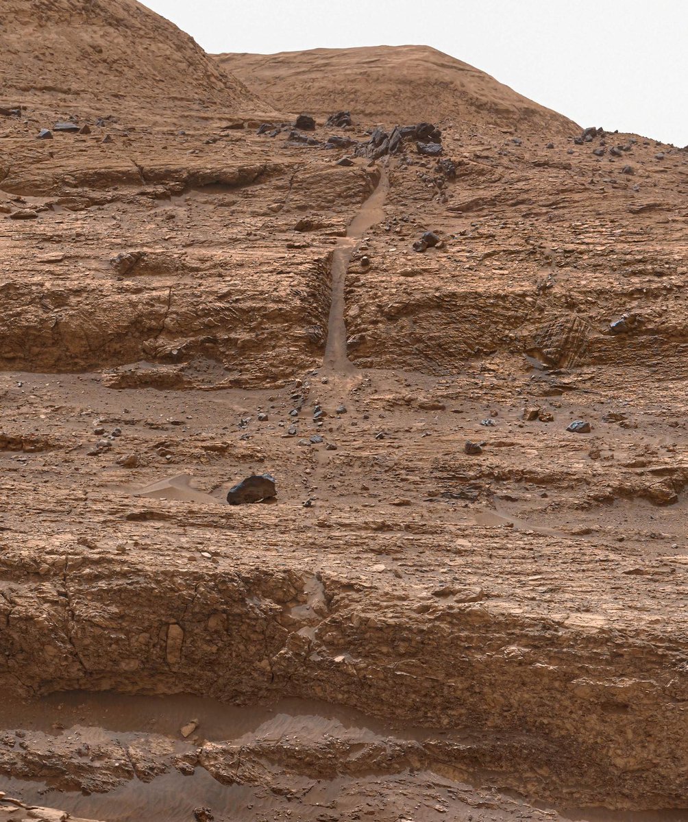 الأحداث العالمية tweet media