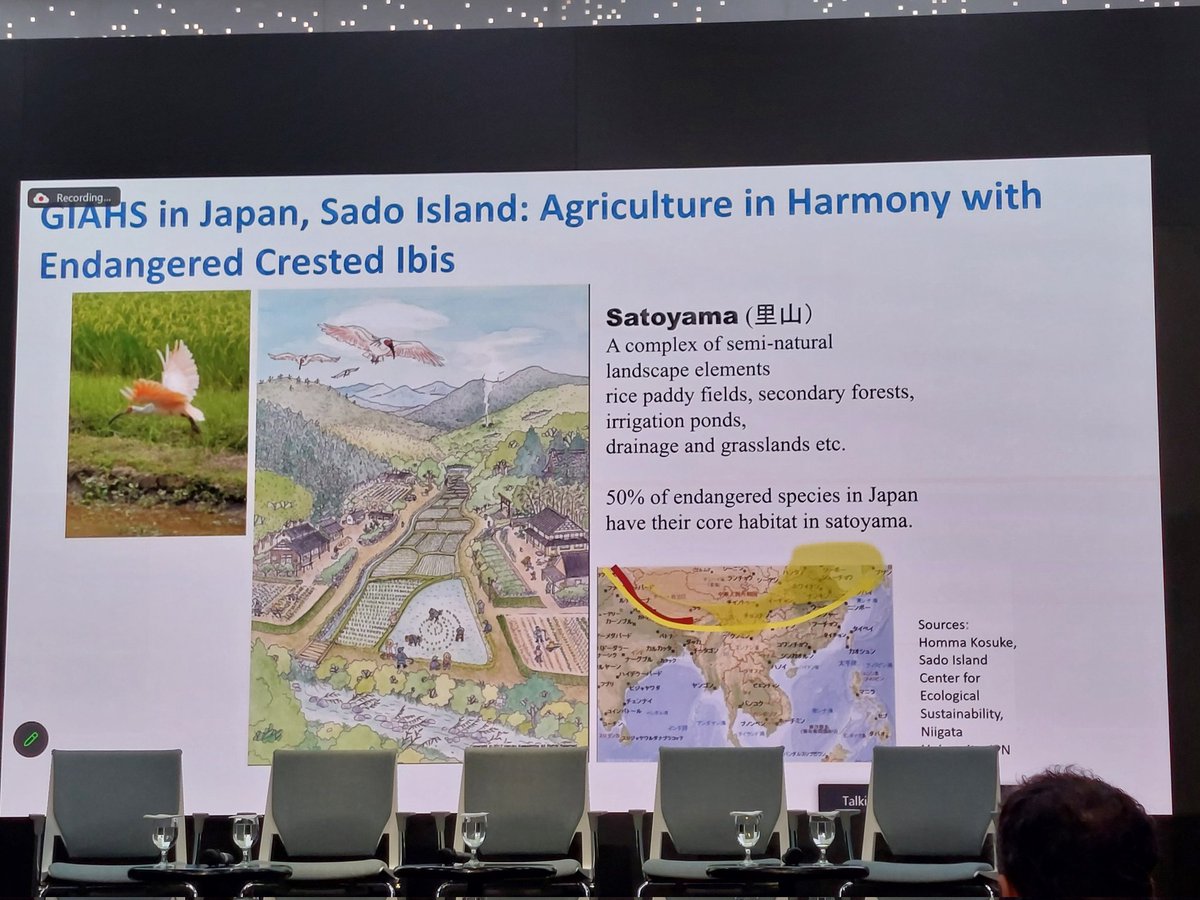 He Li @FAOAsiaPacific is providing many examples of how agriculture can support biodiversity conservation, whether it be through agrotourism, flood adaptive farming or #GIAHS, among others 🌾🐟🐦 #ADBFOODSECURITY24