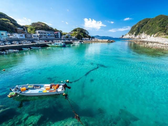 日本で一番キレイな海はどこ？選手権

金賞
高知県大月町柏島