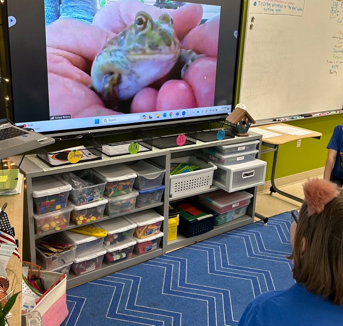 My class zoomed with Kaylee's class to show my class pets today. zoom + kindergartners = chaos 🤣 . I'm sure the 4th graders enjoyed the antics.