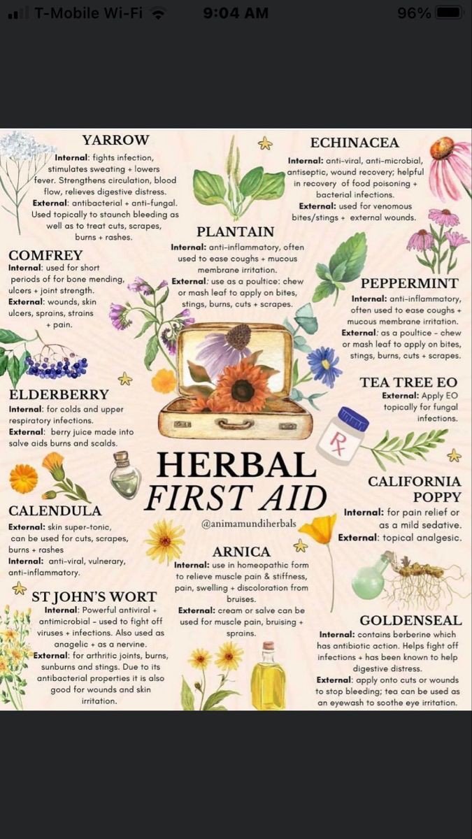 Herbal First Aid