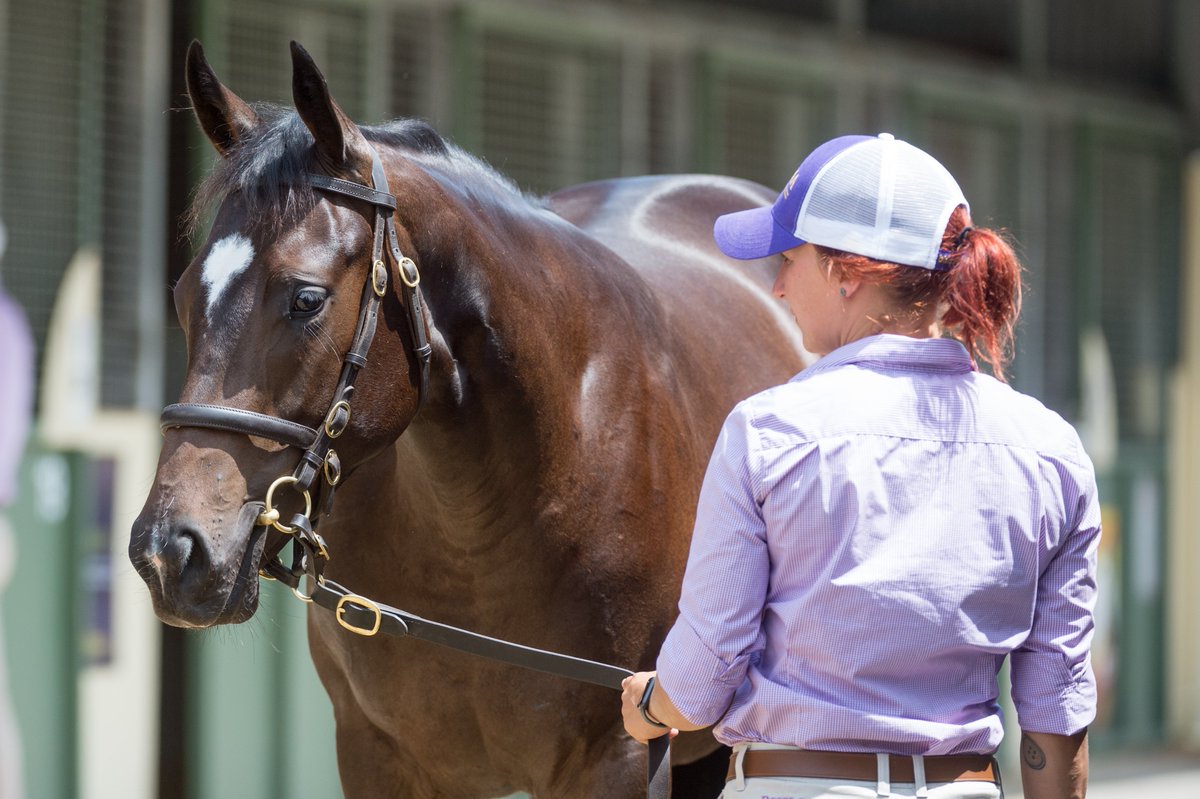 mmsnippets tweet picture
