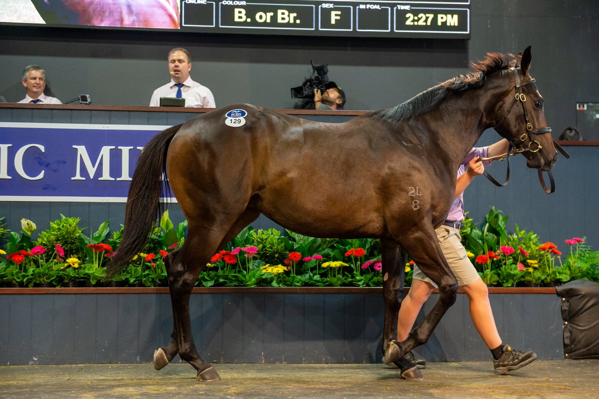 mmsnippets tweet picture