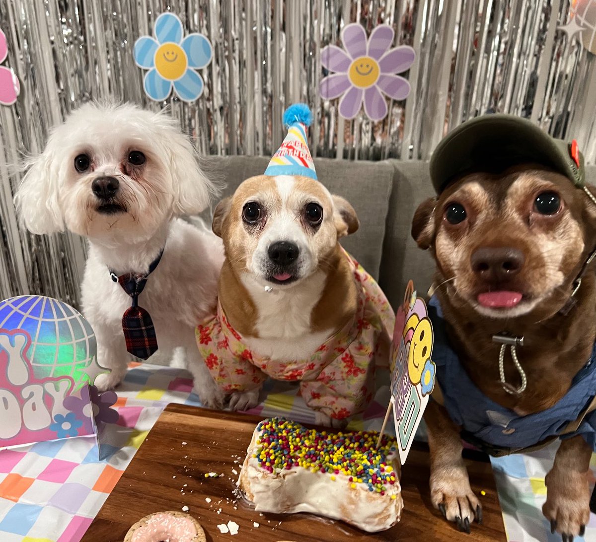 Happy #NationalPetDay from these three! <a href="/pnixnix/">Peter Nixon</a> <a href="/keroninc/">Keron Incarnato</a>