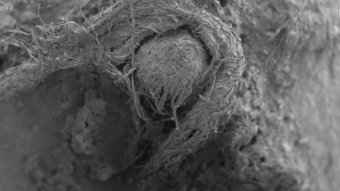 World's oldest string of yarn shows Neanderthals were smarter than we thought ...

Archeologists say they have found the world's oldest string of yarn or cord, which our Neanderthal ancestors made by twisting together natural fibers.

Researchers said the find is the earliest…