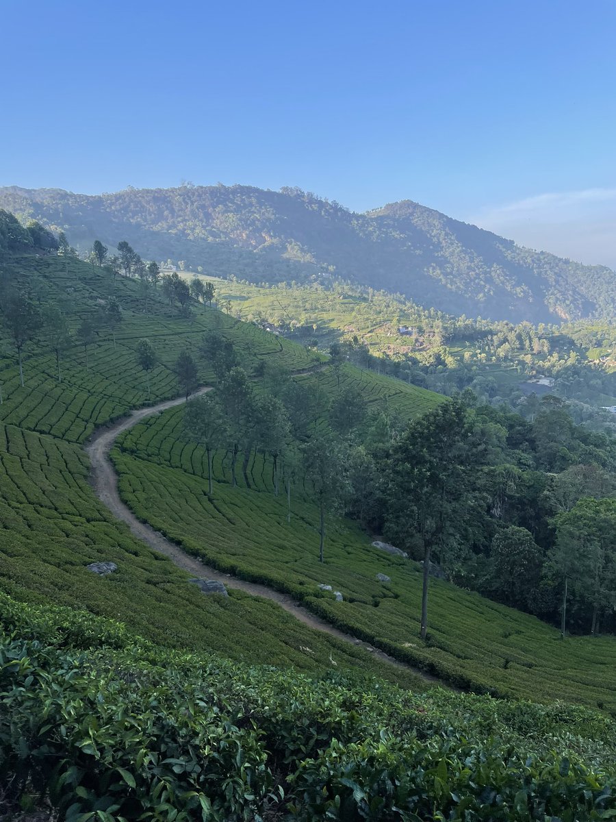 #FoodSystems class on a field visit to Nilgiris. Today we are at <a href="/OfficialUPASI/">UPASI</a> and Glendale Tea Garden, studying the ecosystem that nurtures tea and the challenges it faces.
<a href="/atree_org/">ATREE</a> <a href="/TDUPGConnect/">TDU Postgrad Connect</a>
