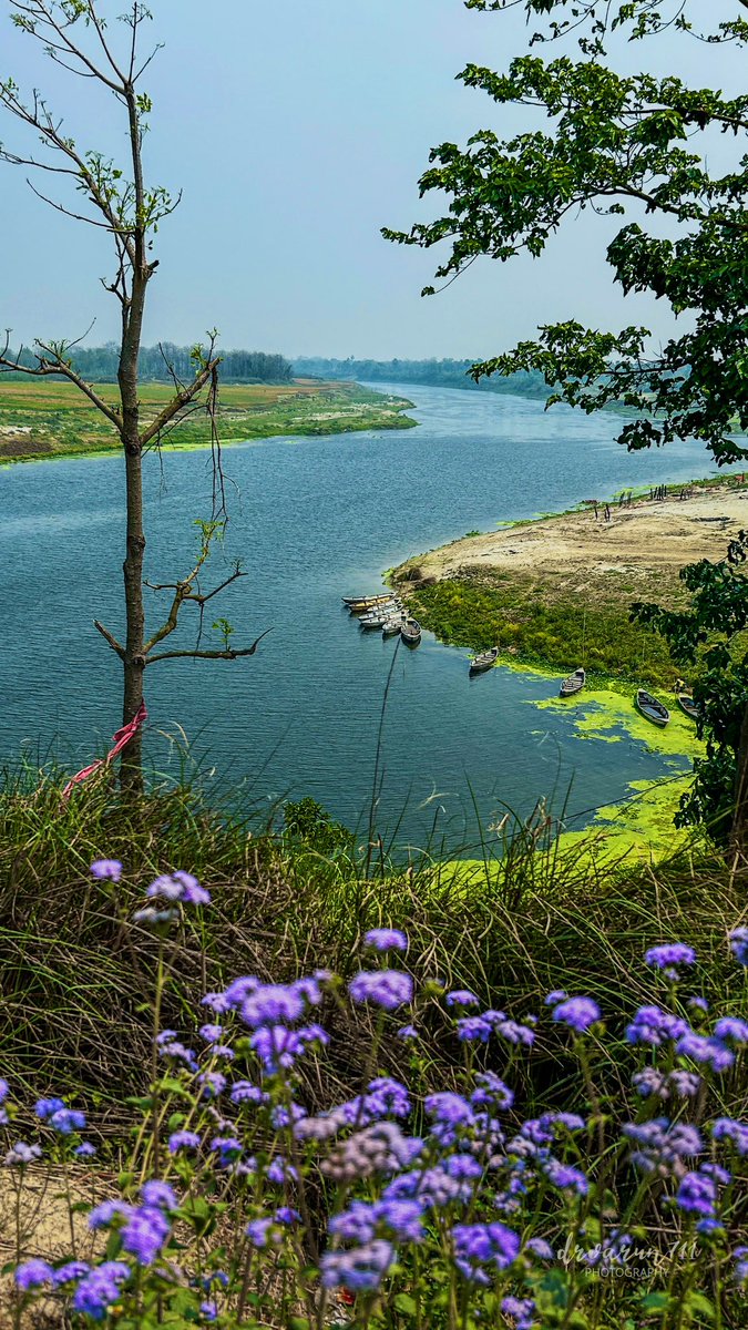 Location: Outskirt Motihari (Bihar) #IndiAves @NatGeoIndia #landscapephotography #amature #iphone_photography @iPhoneTeam #BirDereceHak #TwitterNatureCommunity @NatGeoPhotos #NaturePhotograhpy #ThePhotoHour @DEFCCOfficial