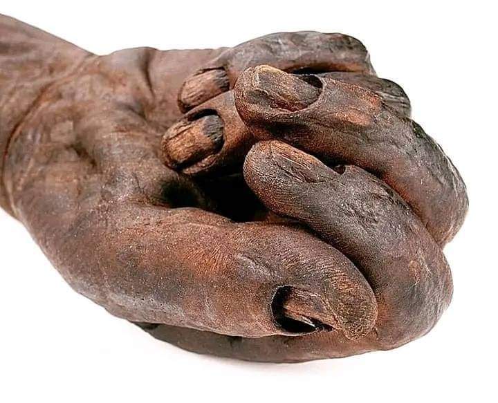 This is not a carved wooden hand but a close up of a 2300 year old Iron Age bog body called “Old Croghan Man”. A bog body is a human cadaver that has been naturally mummified in a peat bog. He was found in 2003 at Croghan Hill in Co. Offaly in Ireland. The man's apparently…