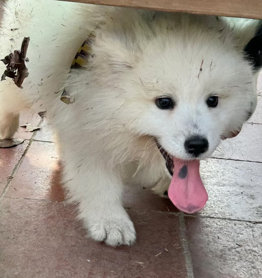 dogonboo's tweet photo. เปื้อนๆ เก่าๆ ยังจะกอดยุ่ไม https://t.co/W9I08jKxOa
