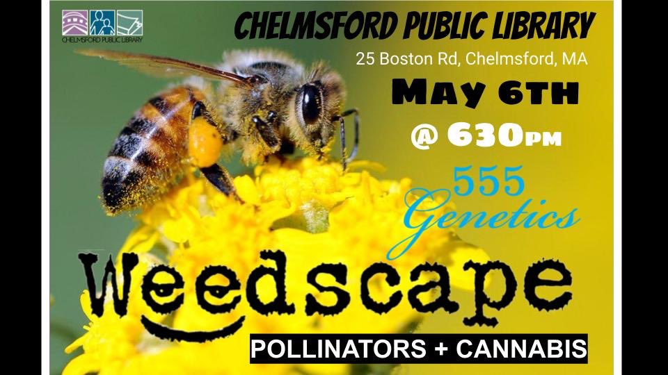 #Weedscape will be presenting at #Chelmsford #Public #Library on #May 6th #Free #Pollinators #Cannabis #Massachusetts Weedscape.net 🪴 #OutdoorCannabis #EducationalSeries #LibraryProgram