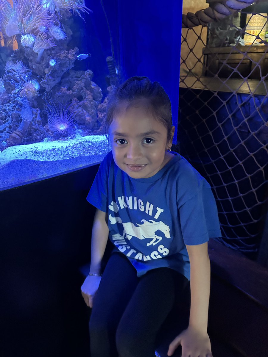mr_mtozzi's tweet image. First Grade Field Trip to Jenkinson’s Aquarium #EMKPRIDE @NicoleFoulksEMK r