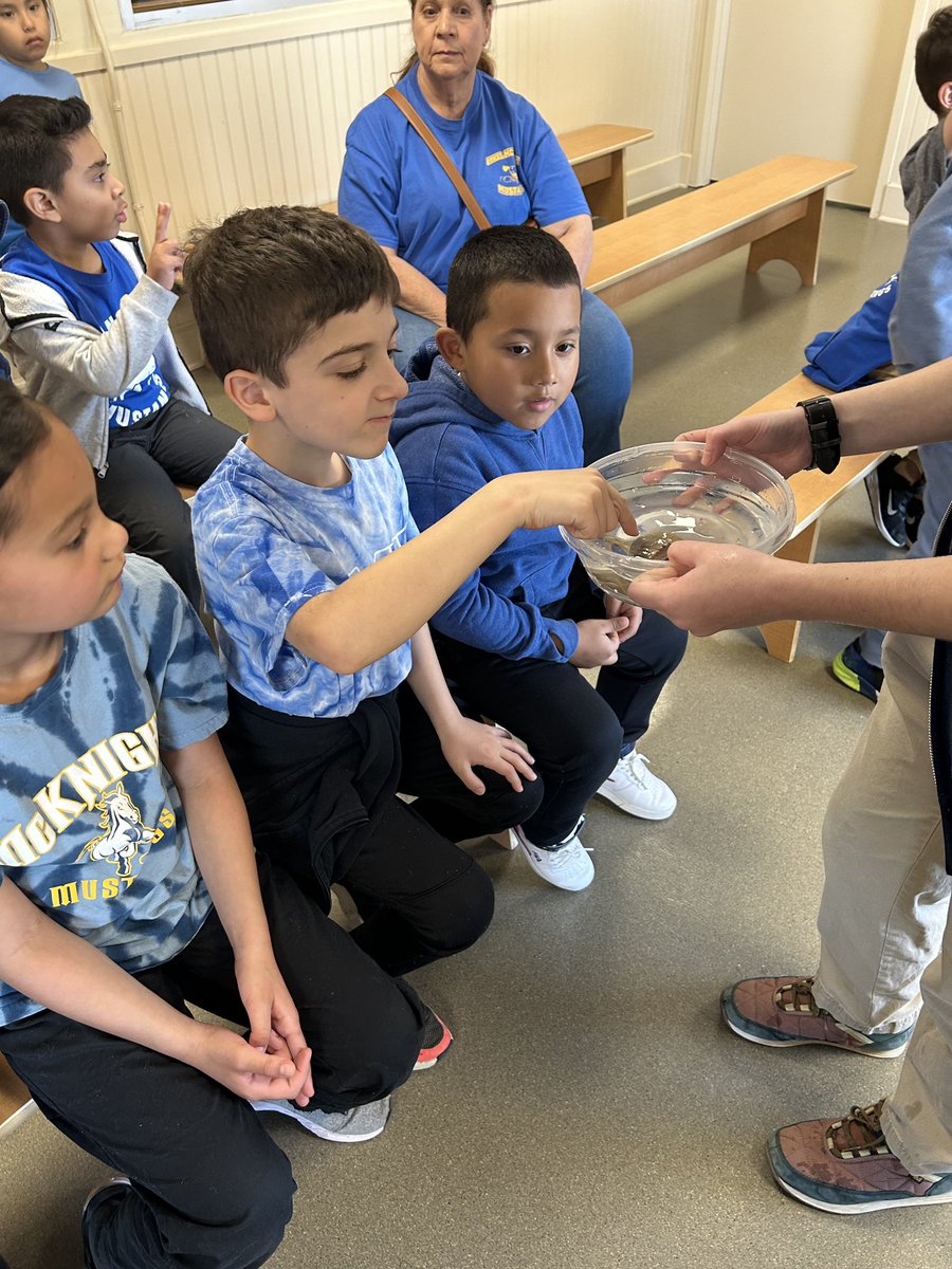 mr_mtozzi's tweet image. First Grade Field Trip to Jenkinson’s Aquarium #EMKPRIDE @NicoleFoulksEMK r