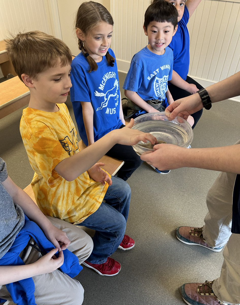 mr_mtozzi's tweet image. First Grade Field Trip to Jenkinson’s Aquarium #EMKPRIDE @NicoleFoulksEMK r
