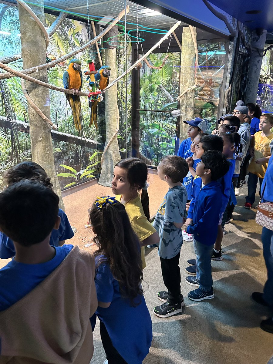 mr_mtozzi's tweet image. First Grade Field Trip to Jenkinson’s Aquarium #EMKPRIDE @NicoleFoulksEMK r