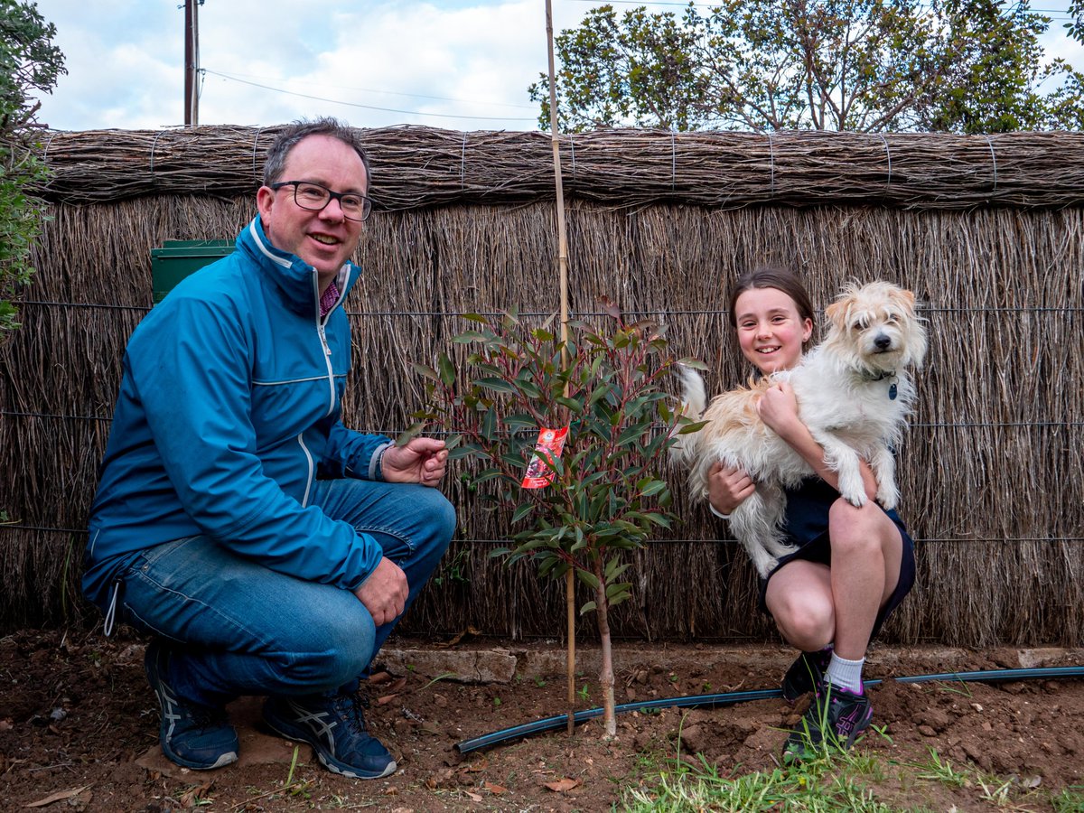 Fancy a free tree for your garden? That's right, our popular Native Tree Giveaway is BACK for 2024! City of Burnside residents, schools and community groups are eligible for one or more trees up to the value of $75. Find out more at burnside.sa.gov.au/TreeVoucher